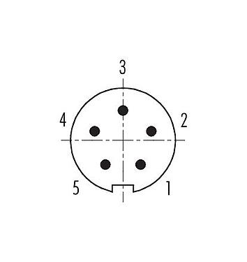Polbild (Steckseite) 99 0413 75 05 - M9 Winkelstecker, Polzahl: 5, 3,5-5,0 mm, schirmbar, löten, IP67