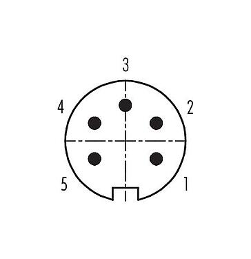 Расположение контактов (со стороны подключения) 99 2013 09 05 - M16 Кабельный штекер, Количество полюсов: 5 (05-a), 4,0-6,0 мм, экранируемый, пайка, IP40