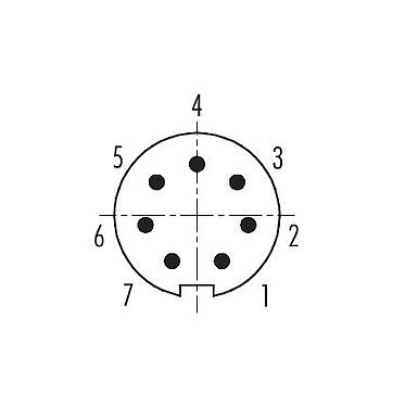 Polbild (Steckseite) 99 0421 75 07 - M9 Winkelstecker, Polzahl: 7, 3,5-5,0 mm, schirmbar, löten, IP67