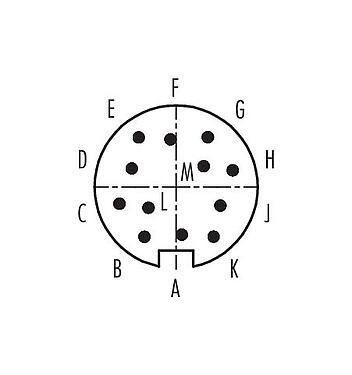 Polbild (Steckseite) 99 0649 02 12 - Bajonett Kabelstecker, Polzahl: 12, 6,0-8,0 mm, ungeschirmt, löten, IP40
