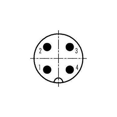 Disposición de los contactos (lado de la conexión) 09 0441 081 04 - M18 Enchufe de brida, Número de contactos: 4, sin blindaje, soldadura, IP67, UL