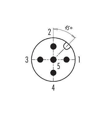 Расположение контактов (со стороны подключения) 99 0437 282 05 - M12 Кабельный штекер, Количество полюсов: 5, 6,0-8,0 мм, не экранированный, винтовая клемма, IP67, UL